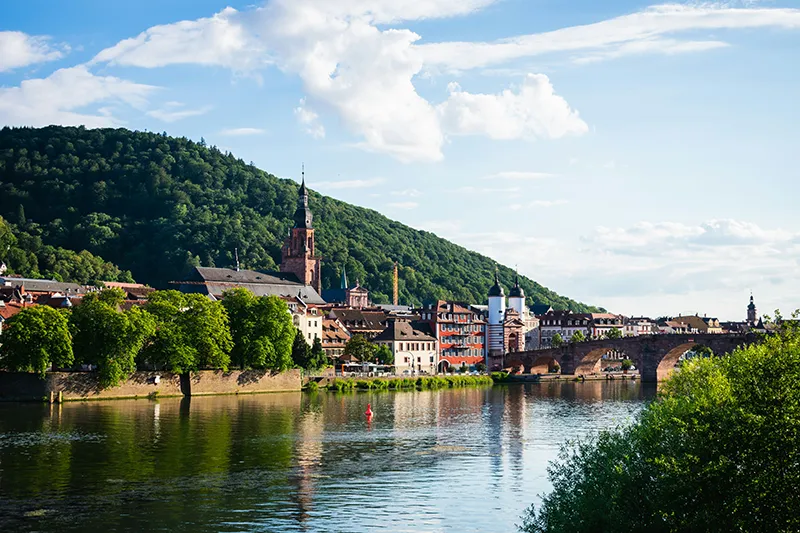 Beschreibung